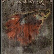 Small, Kind Deeds